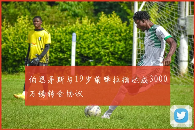 伯恩茅斯与19岁前锋拉扬达成3000万镑转会协议