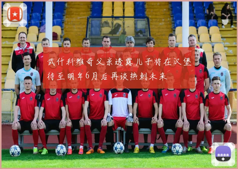 武什科维奇父亲透露儿子将在汉堡待至明年6月后再谈热刺未来