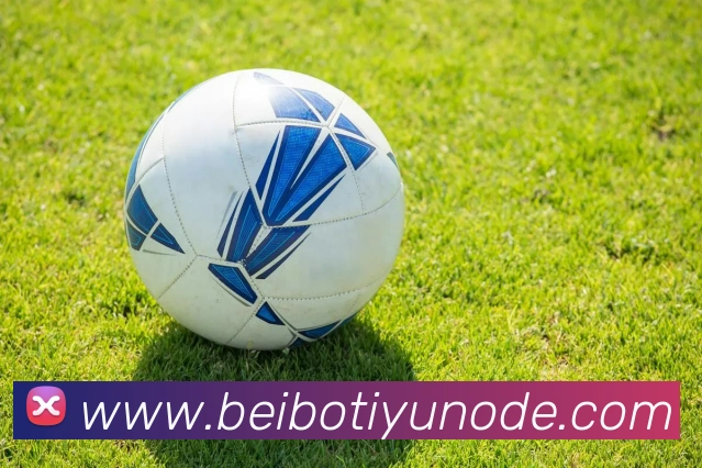 多媒体互动体验