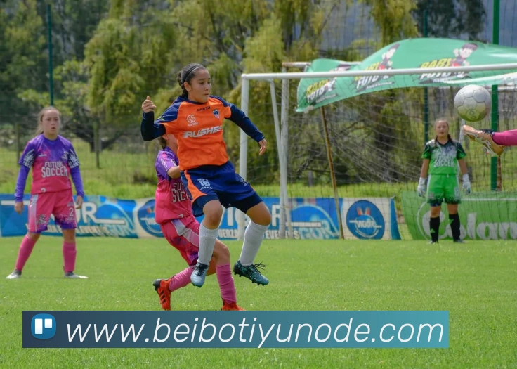 贝博体育APP 体育赛事宣传图