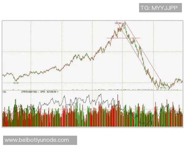 亚库乔尼斯期待与韦尔默契提升希望连线次数不断增加 亚库乔尼斯期待与韦尔默契提升希望连线次数不断增加
